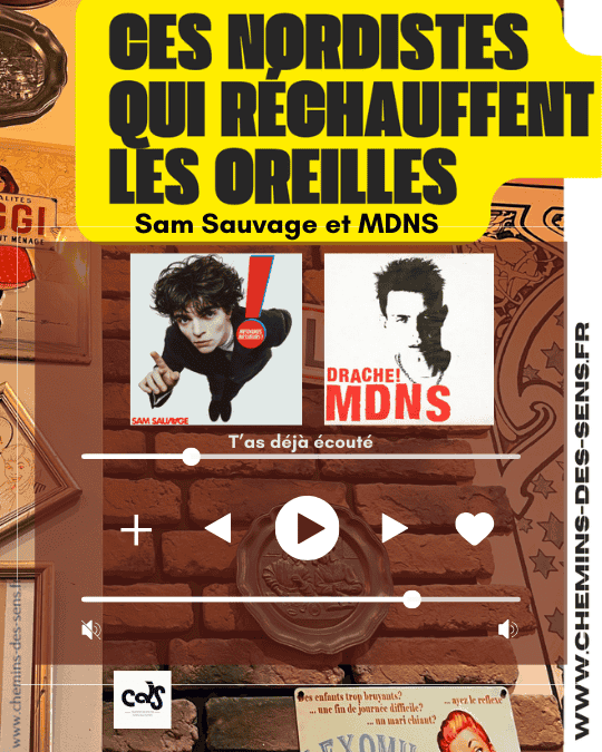 CDS Sam Sauvage et MDNS