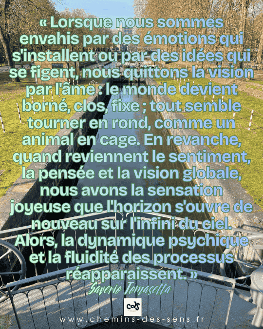 CDS l'horizon s'ouvre de nouveau Saverio Tomasella