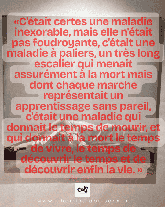 CDS maladie et découverte enfin de la vie Hervé Guibert