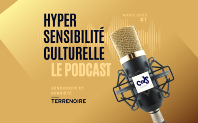 Hyper Sensibilité Culturelle : 1 an déjà !