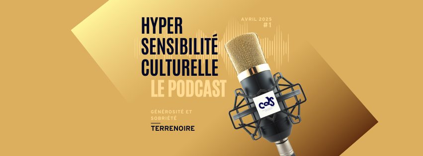 Hyper Sensibilité Culturelle : 1 an déjà !